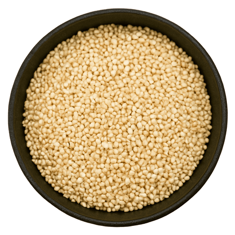  (Background Removed)