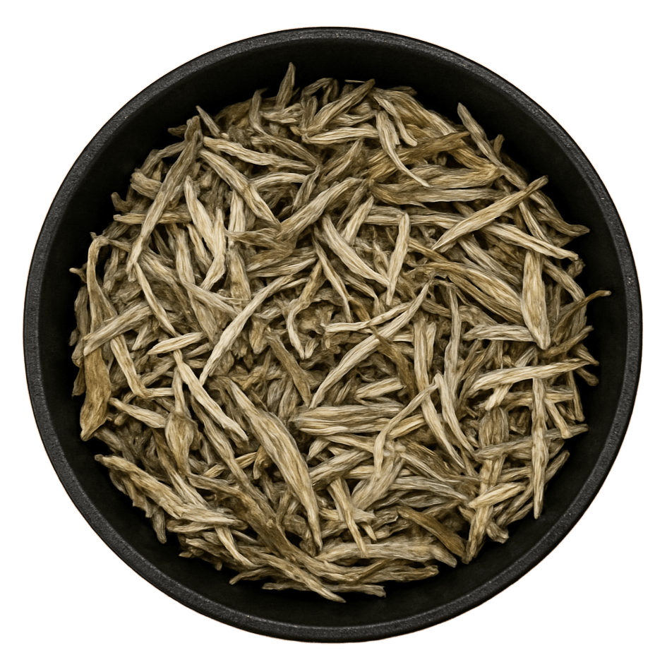  (Background Removed)