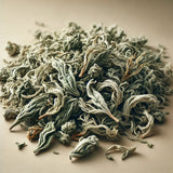 White Tea (Camellia Sinensis)