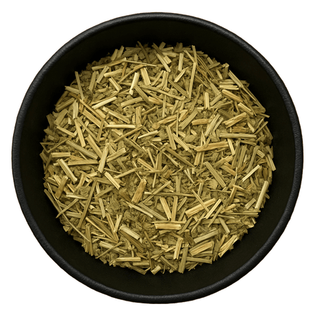  (Background Removed)