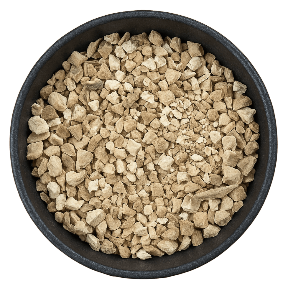  (Background Removed)