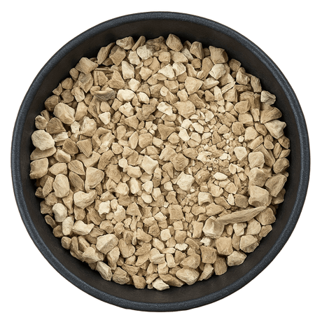  (Background Removed)