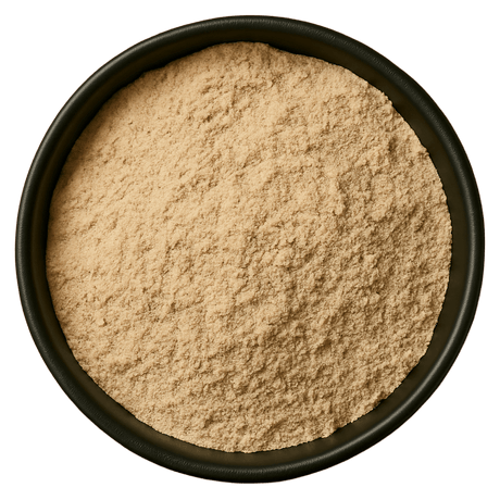  (Background Removed)