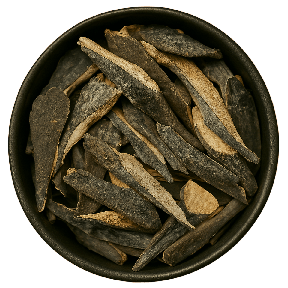  (Background Removed)