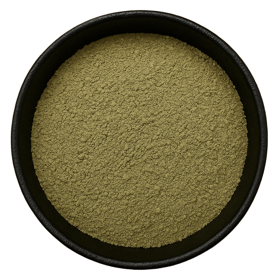  (Background Removed)