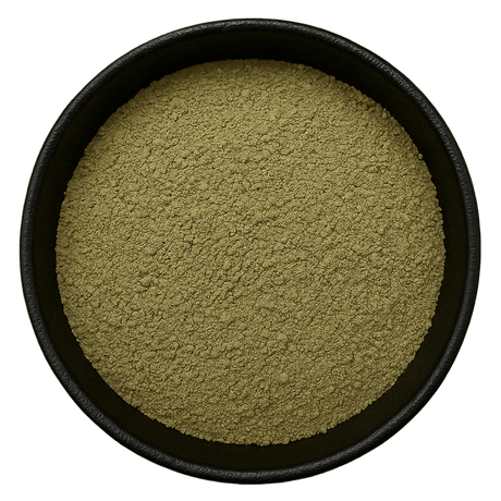  (Background Removed)