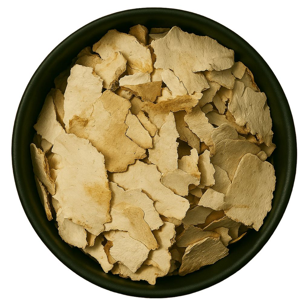  (Background Removed)