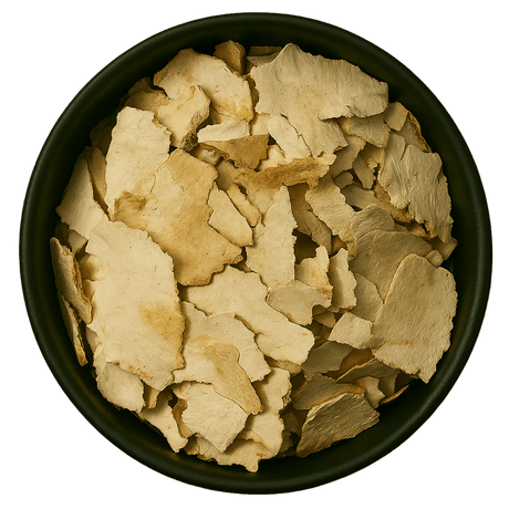  (Background Removed)