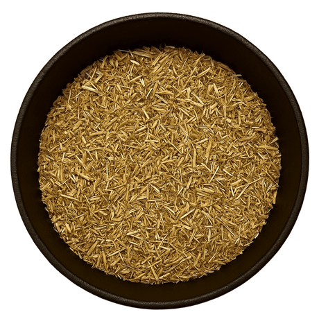  (Background Removed)