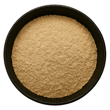  (Background Removed)