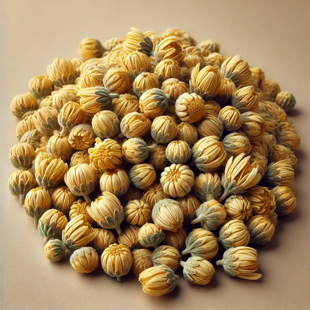 Yellow Chrysanthemum Flower Buds Whole (Chrysanthemum Morifolium)