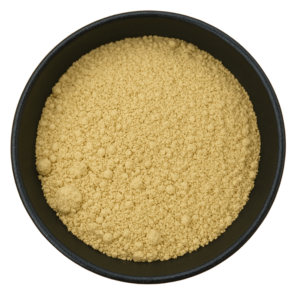  (Background Removed)