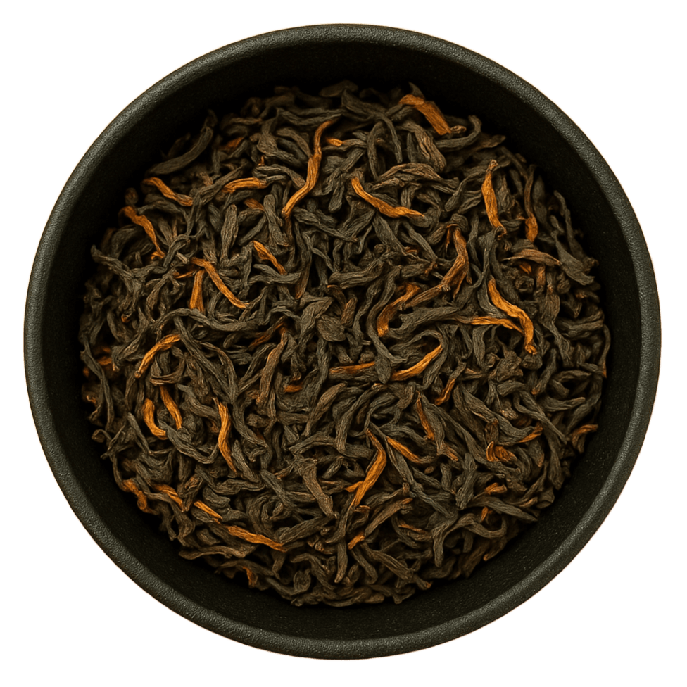  (Background Removed)