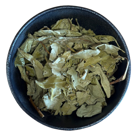 Peach Leaf Whole (Prunus persica)