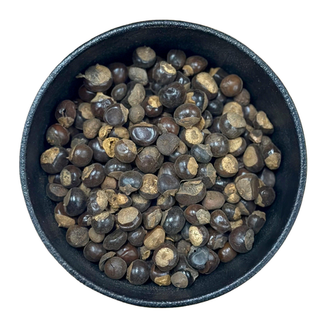 Guarana Seed Whole (Paullinia cupana)