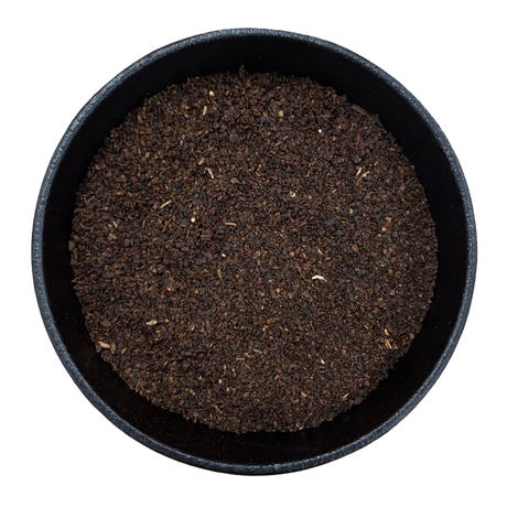 Chicory Root Roasted Granules (Cichorium intybus)