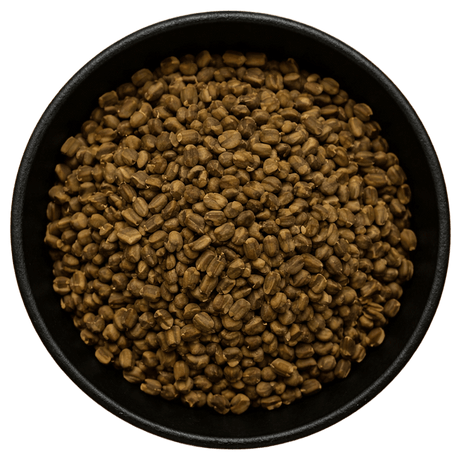 Sicklepod Seed Whole (Cassia Obtusifolia) (Background Removed)