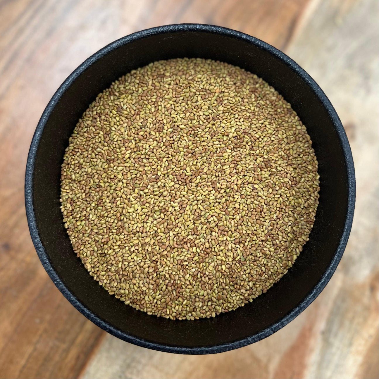 Alfalfa Seed Whole (Medicago Sativa)