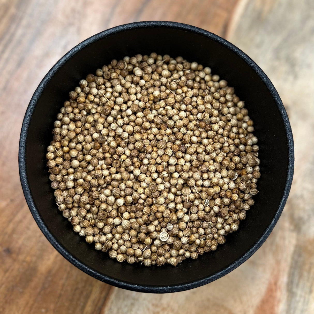 Coriander Seed Whole (Coriandrum sativum)