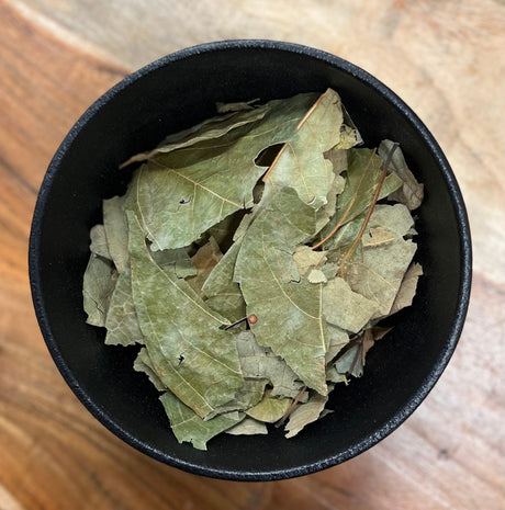 Sassafras Leaf Whole (Sassafras Albidium)