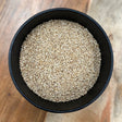 Sesame Seed Whole (Sesamum indicum)